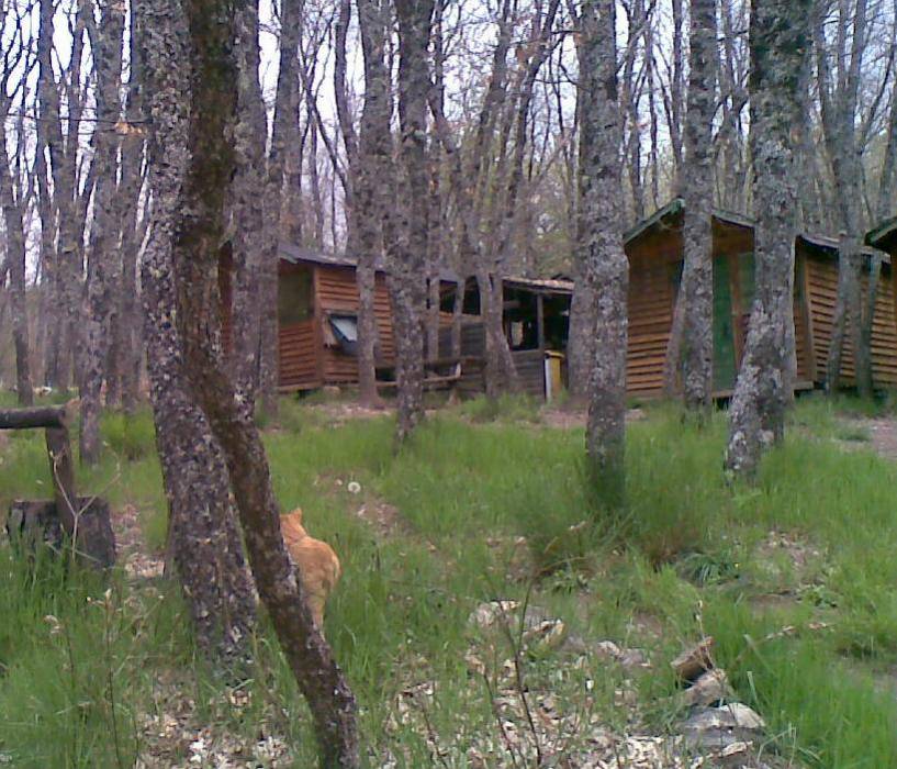 campestre.jpg