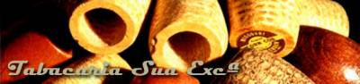 logo tabacaria sua excelencia
