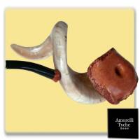 pipa amorelli tyche